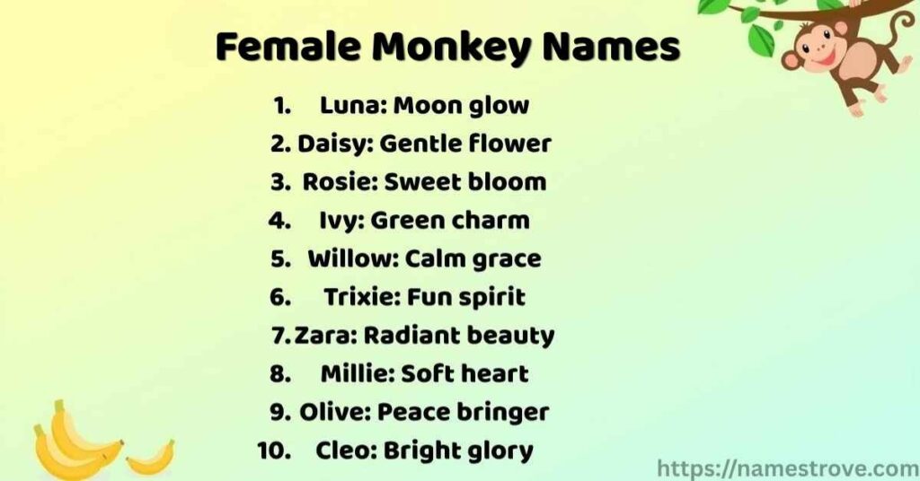 Female Monkey Names