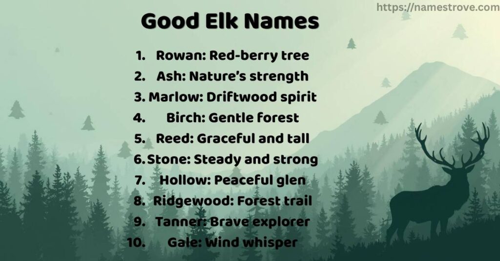 Good Elk Names
