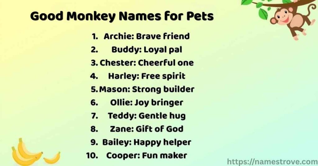 Good Monkey Names for Pets