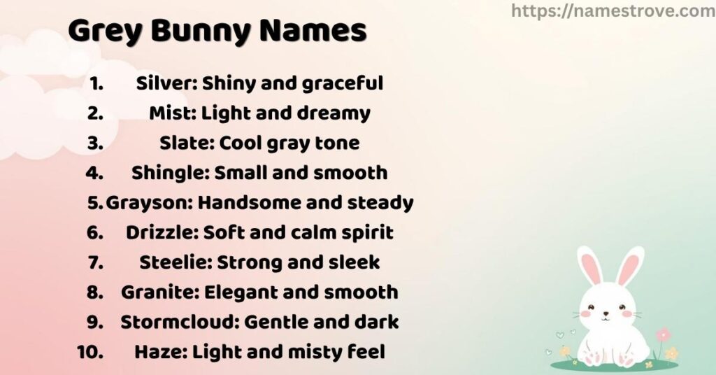 Grey Bunny Names