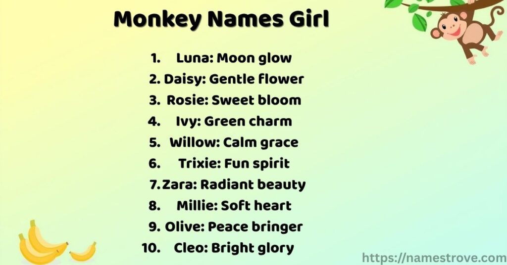 Monkey Names Girl