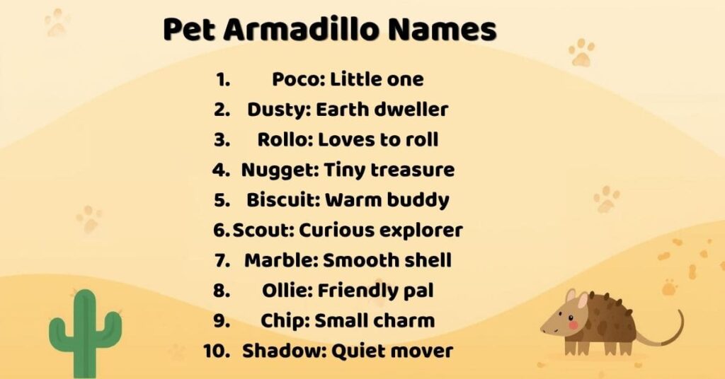 Pet Armadillo Names