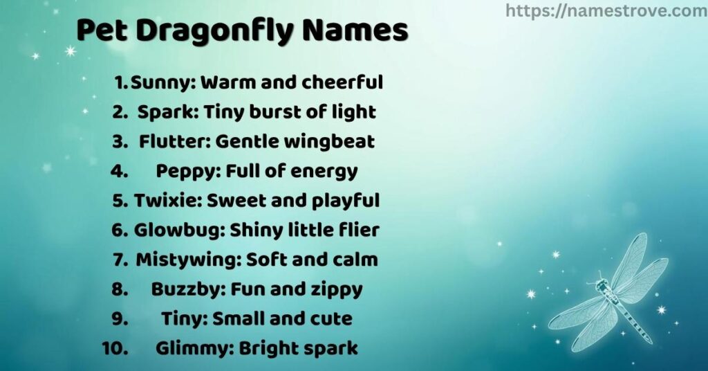 Pet Dragonfly Names