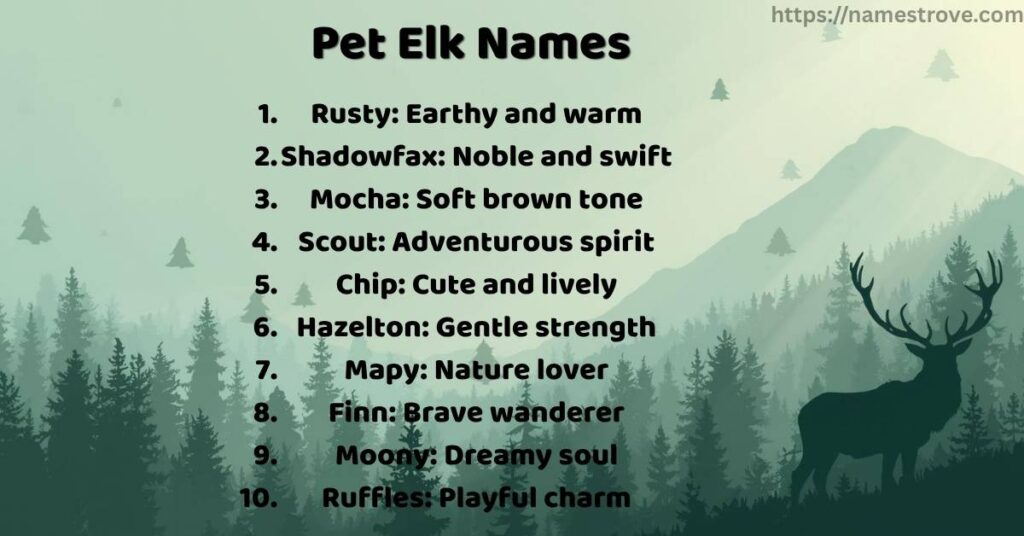 Pet Elk Names