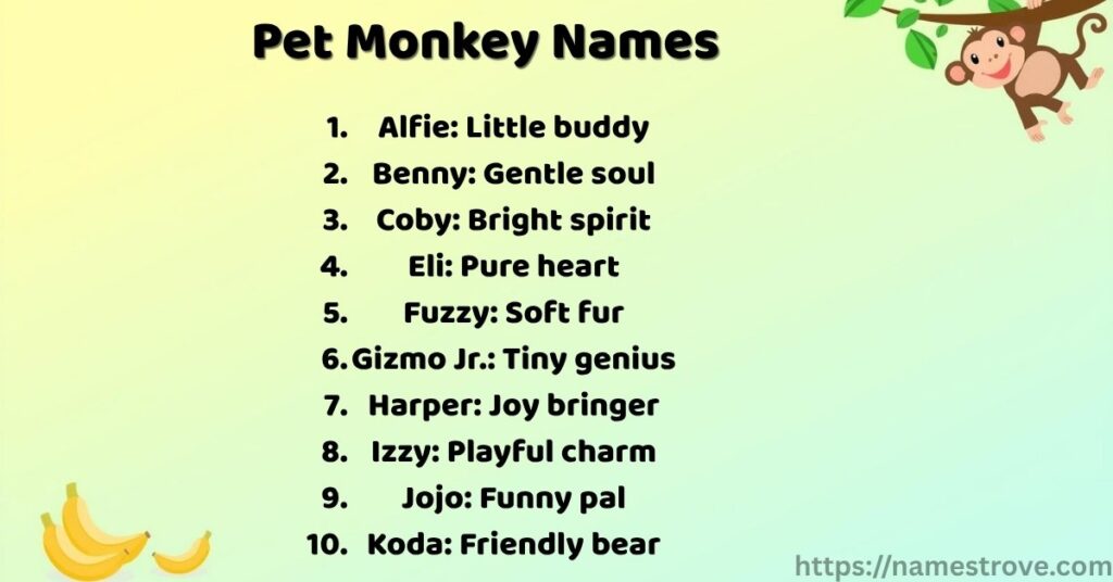 Pet Monkey Names