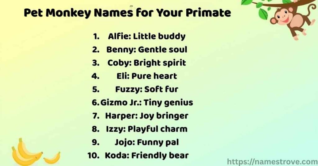 Pet Monkey Names for Your Primate