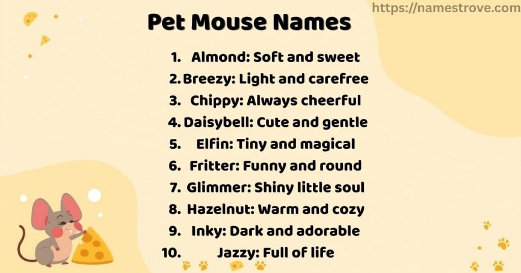 Pet Mouse Names