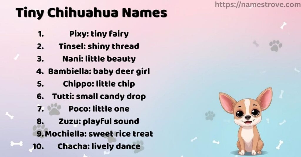Tiny Chihuahua Names