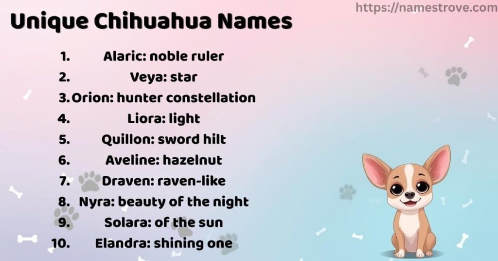 Unique Chihuahua Names