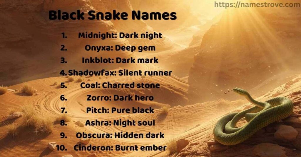 Black Snake Names