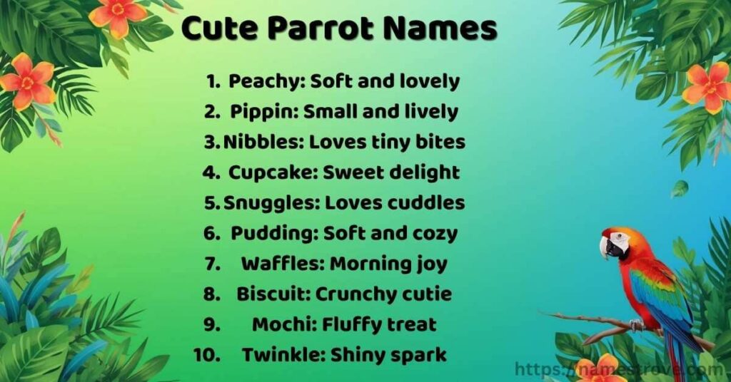 Cute Parrot Names