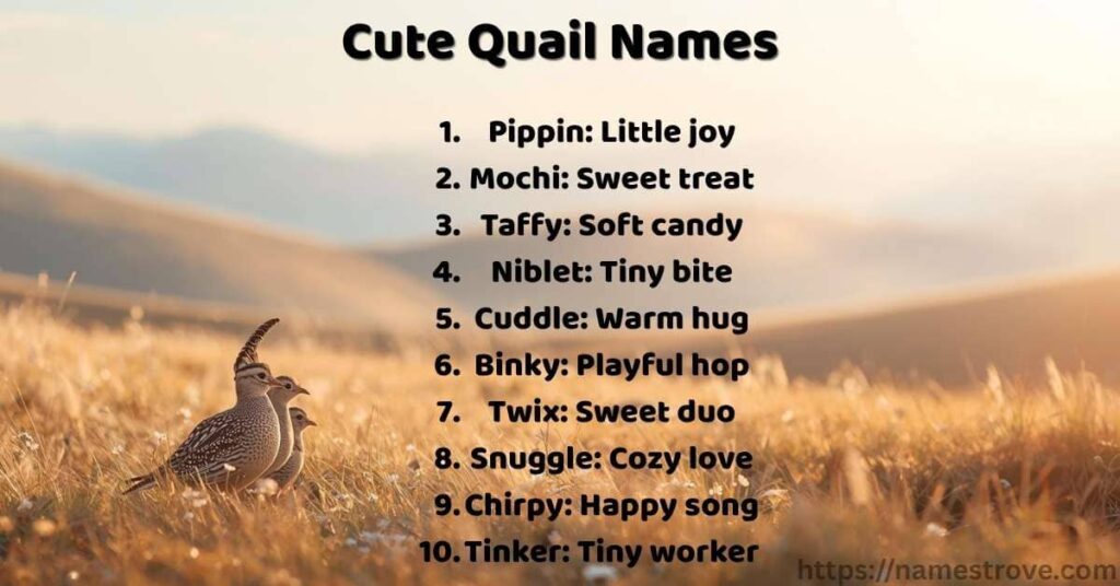 Cute Quail Names