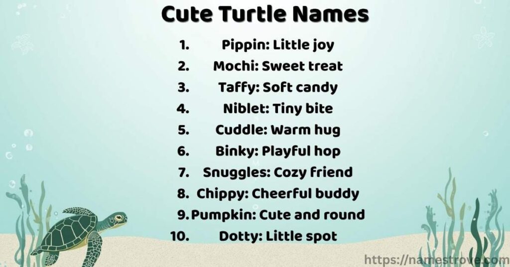 Cute Turtle Names