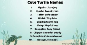 374+ Best Turtle Names: Cute, Funny & Unique Ideas - Names Trove