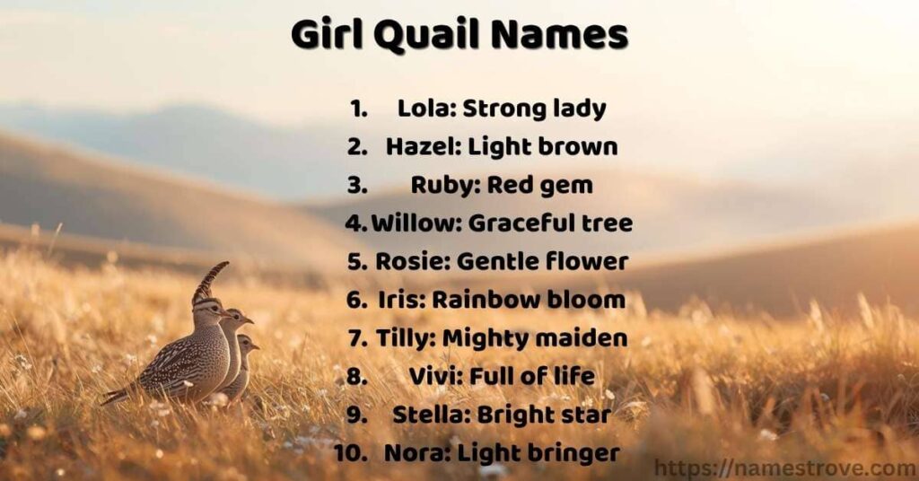 Girl Quail Names