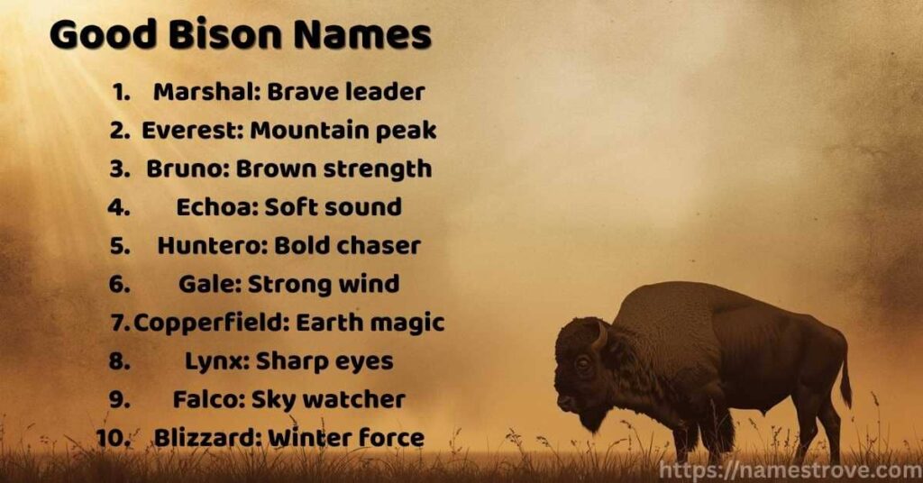 Good Bison Names