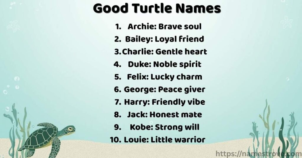Good Turtle Names