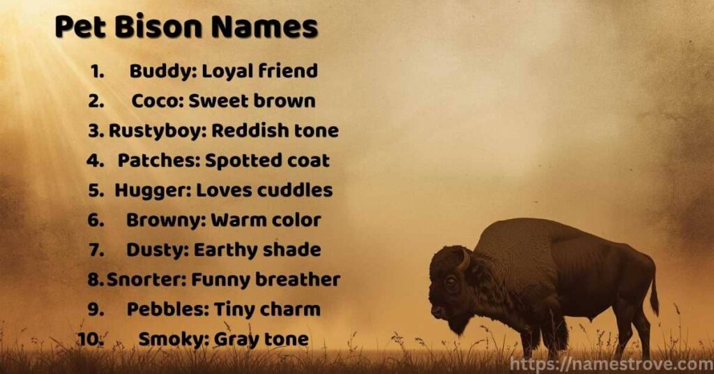Pet Bison Names