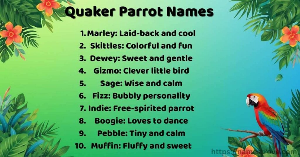 Quaker Parrot Names