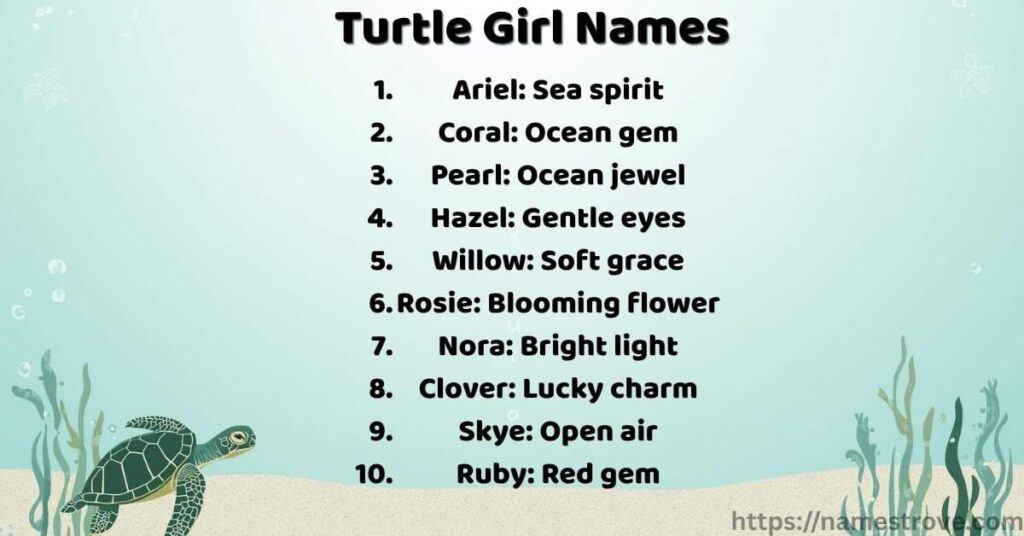 Turtle Girl Names