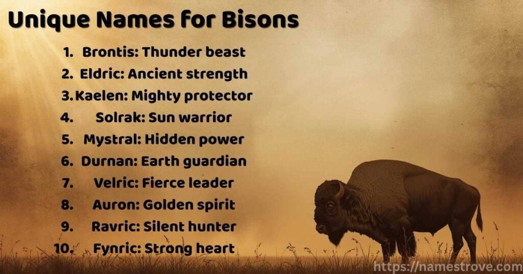 Unique Names for Bisons