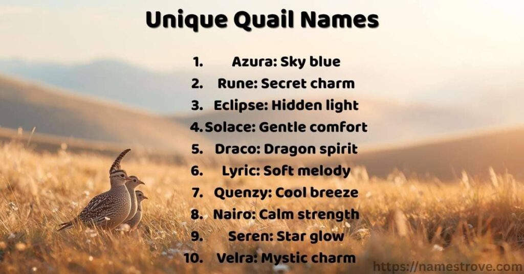 Unique Quail Names
