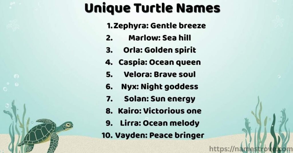 Unique Turtle Names
