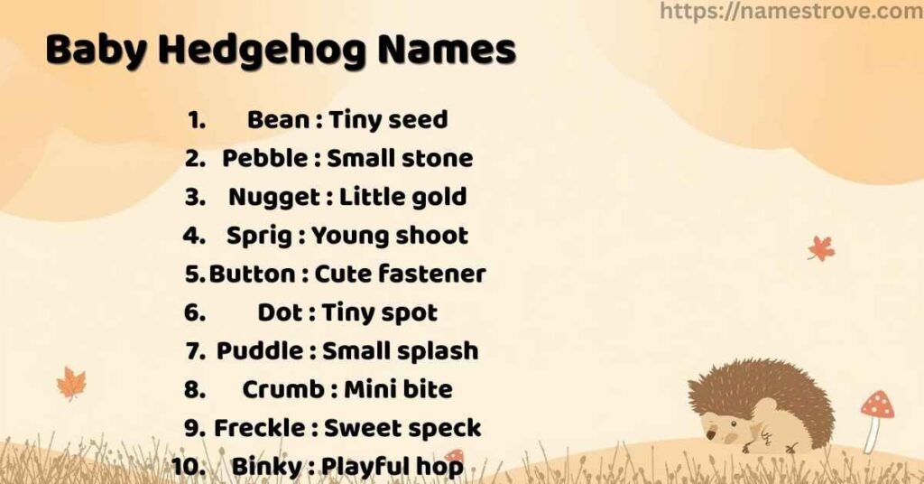 Baby Hedgehog Names