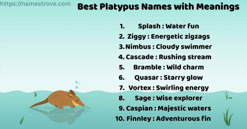 Best Platypus Names with Meanings