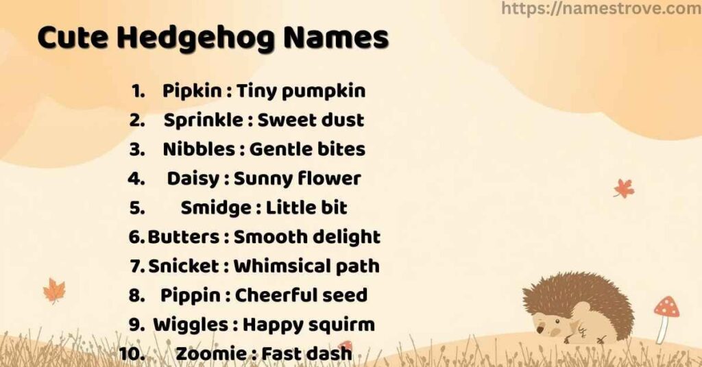 Cute Hedgehog Names