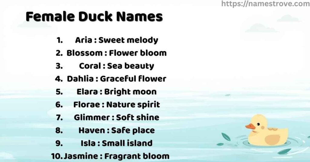 Female Duck Names