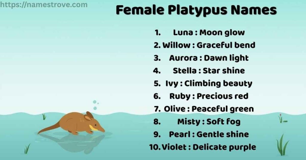 Female Platypus Names