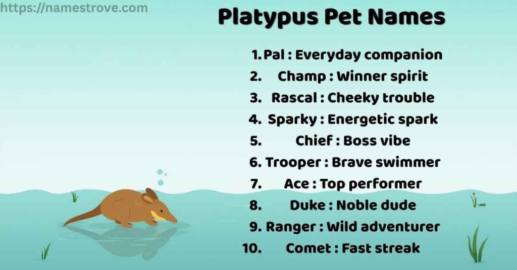 Platypus Pet Names