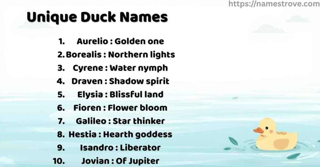 Unique Duck Names