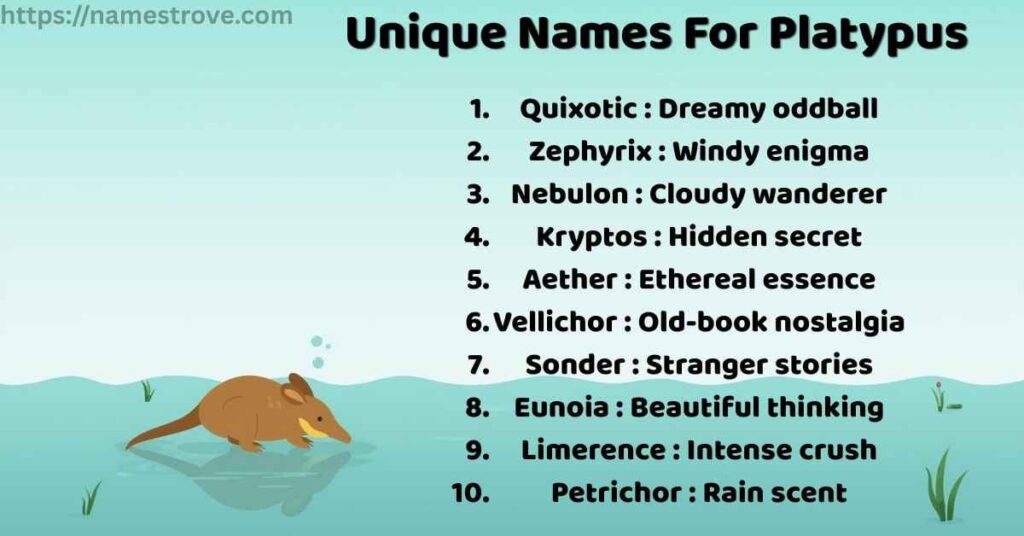 Unique Names For Platypus